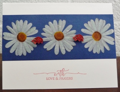 3-31-16 WCC 3s (400x308).jpg