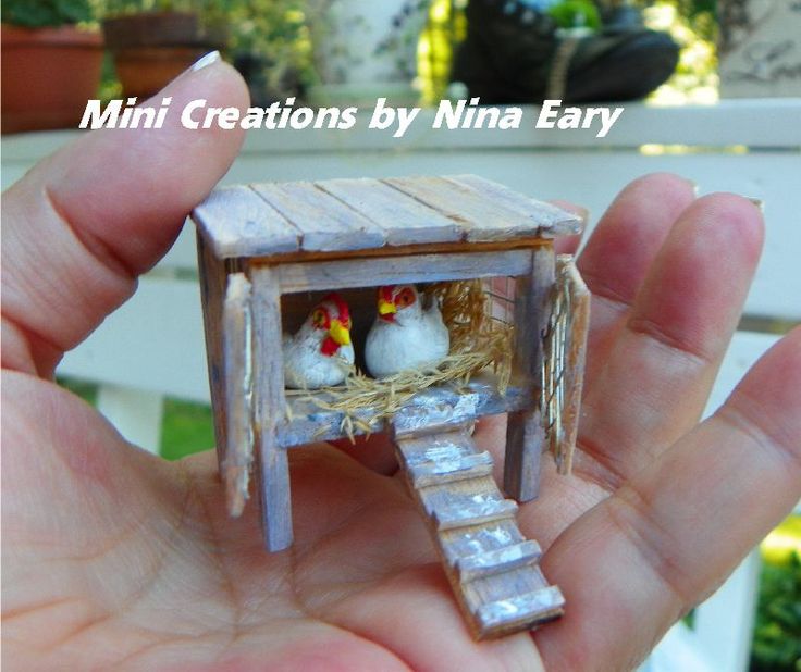 mini chicken coop.jpg