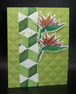 6-10-21 Leftover Card (244x300).jpg